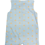 Pumpkin Harvest Gingham Shortall