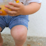 Blue Striped Tucker Shorts