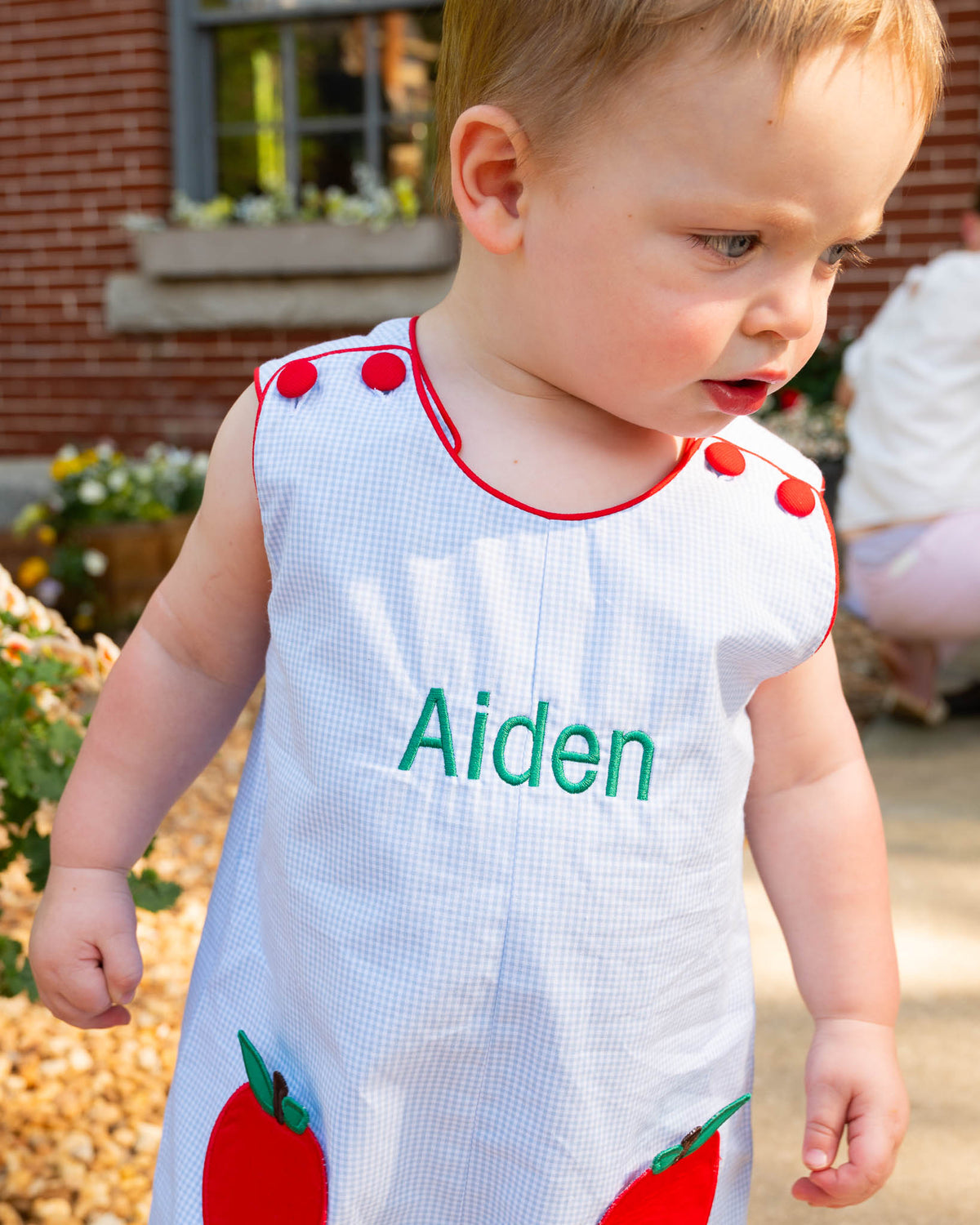 Apple Applique Pockets Gingham Shortall-FINAL SALE