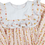 Fall Floral Stripe Bib Collar Dress