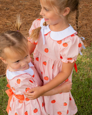 Pumpkin Embroidered Coral Gingham Dress