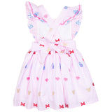 Park Fun Embroidered Penny Dress