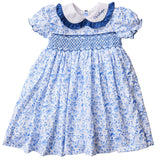 Halloween Toile Smocked Dress